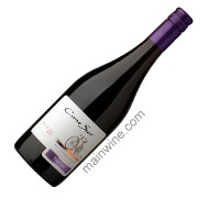 Cono Sur Pinot Noir - 2009