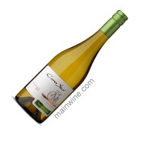 Cono Sur Sauvignon Blanc - 2009